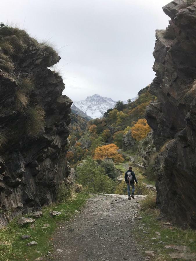 Estudio Mirador Daire Guejar Sierra Dış mekan fotoğraf
