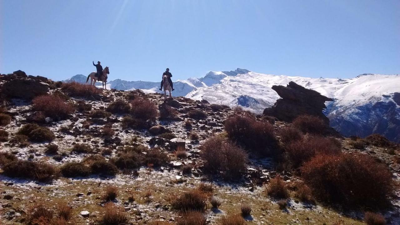 Estudio Mirador Daire Guejar Sierra Dış mekan fotoğraf